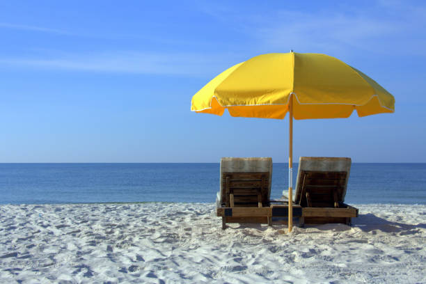 istockphoto-1007025050-612x612.jpg